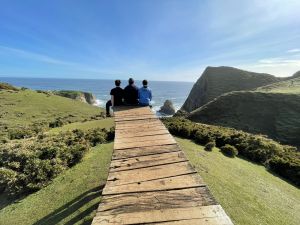 Emociones estéticas