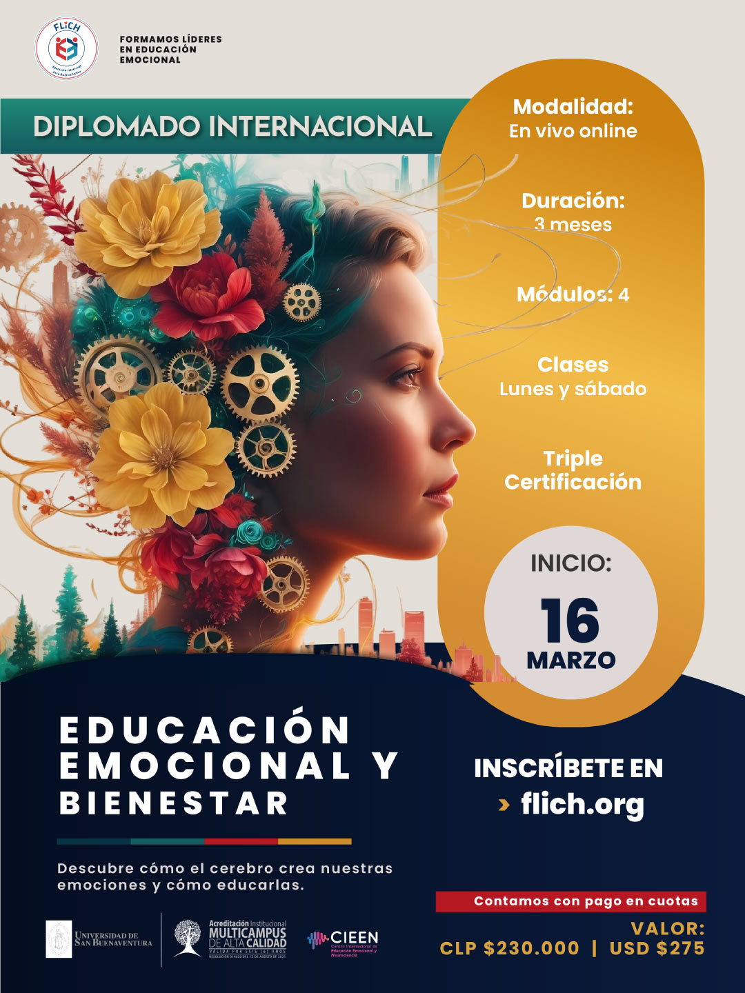 Diplomado Internacional de Educación Emocional y Bienestar 2026 – 1